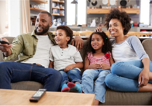 Domestic Insurance